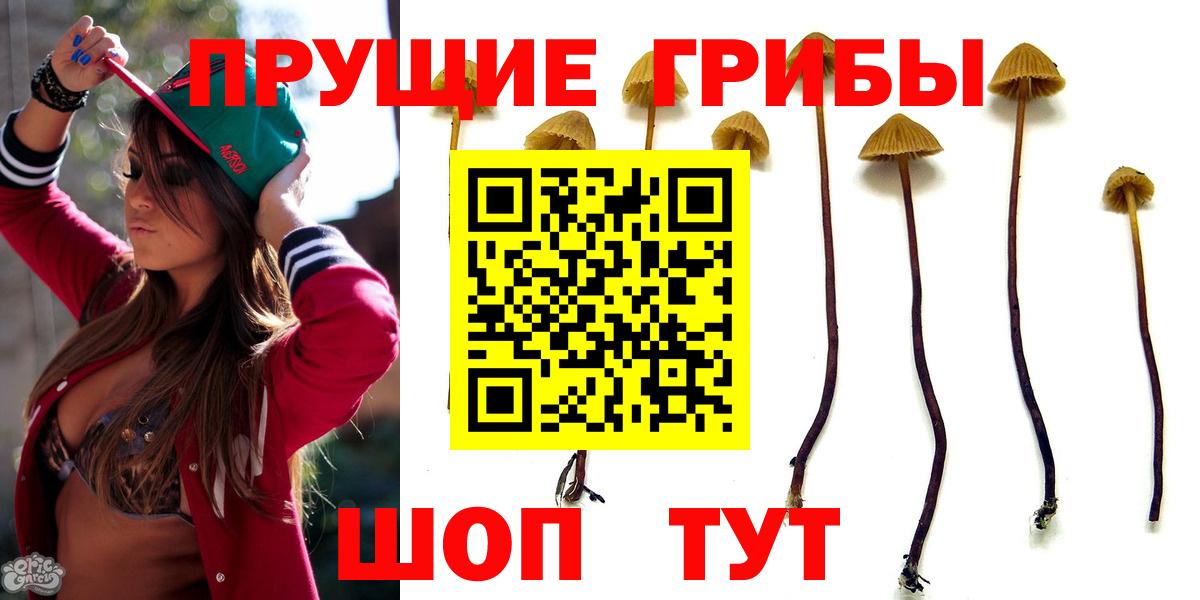 Псилоцибиновые грибы MAGIC MUSHROOMS Асино